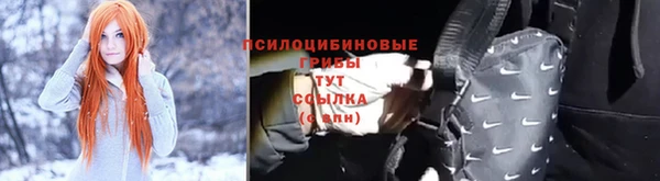 мдпв Лабытнанги