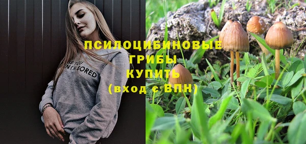 спайс Лагань