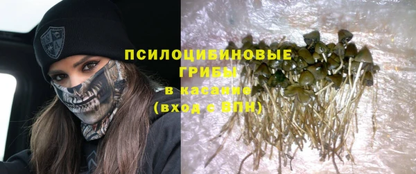 мдпв Лабытнанги