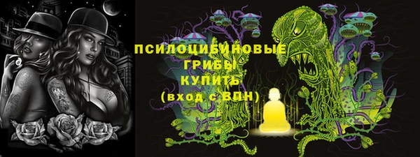 мдпв Лабытнанги