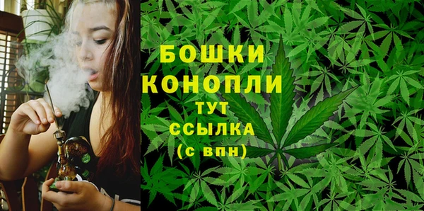 мдпв Лабытнанги